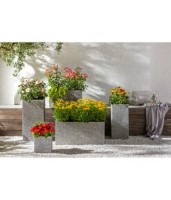 Garten-Scheinsonnenhut 'Cheyenne Spirit' -Weber Store 20190711 PR MO 001 Schmetterlingsgarten Rosen usw GC14 2020 02