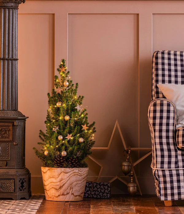 Geschmückter Weihnachtsbaum Loxley, Mit Lichterkette, Ca. H45 Cm 2 Geschmückter Weihnachtsbaum Loxley, Mit Lichterkette, Ca. H45 Cm – Bild 2