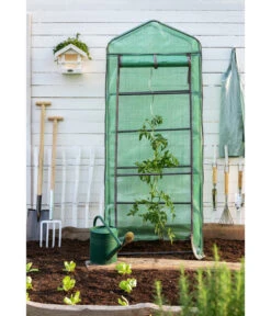 Smart Garden Balkongewächshaus -Weber Store 241687 WE MO 004 TomatenSpiralstab2021GC06