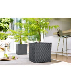 Dehner Kunststoff-Pflanztopf Dallas, Quadratisch, Ca. B35/H34/T35 Cm 9 Dehner Kunststoff-Pflanztopf Dallas, Quadratisch, Ca. B35/H34/T35 Cm -Weber Store 2460038 2460046 2460053 WE MO 001 KunststoffTopf36x36x36cm