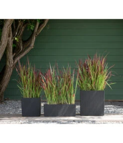 Dehner Kunststoff-Pflanztopf Dallas, Quadratisch, Ca. B35/H34/T35 Cm 11 Dehner Kunststoff-Pflanztopf Dallas, Quadratisch, Ca. B35/H34/T35 Cm -Weber Store 2460046 WE MO 003 DehnerKunststoffPflanztopfDallasquadratisch