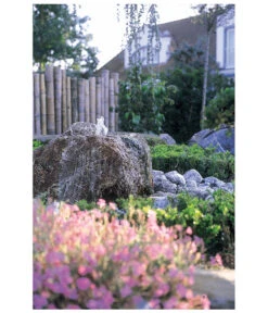 Oase Pumpe Aquarius Universal Classic 1500 -Weber Store 2959476 WE MO 003 AquariusUniversalClassic