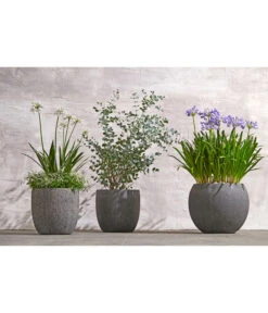 Dehner Polystone-Topf Kapstadt, Rund, Grau -Weber Store 3207990 WE MO 002 PolystoneTopf