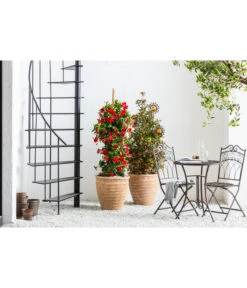 Terrakotta-Topf Perugia, Rund, Antik-terrakotta -Weber Store 3315819 3315926 3315892 WE MO 006 TerrakottaPflanztopfantikrund