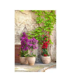 Terrakotta-Topf Perugia, Rund, Antik-terrakotta -Weber Store 3315926 3315892 3315819 WE MO 002 TerrakottaPflanztopfantikrund