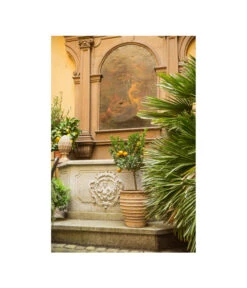 Terrakotta-Topf Perugia, Rund, Antik-terrakotta -Weber Store 3315926 3315892 3315819 WE MO 003 TerrakottaPflanztopfantikrund