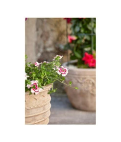 Terrakotta-Topf Perugia, Rund, Antik-terrakotta -Weber Store 3315926 3315892 3315819 WE MO 004 TerrakottaPflanztopfantikrundBlumentopf