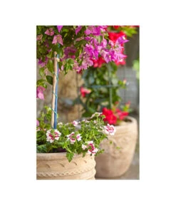 Terrakotta-Topf Perugia, Rund, Antik-terrakotta -Weber Store 3315926 3315892 3315819 WE MO 005 TerrakottaPflanztopfantikrundBlumentopf