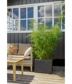 Dehner Kunststoff-Blumenkübel Palermo, Anthrazit -Weber Store 3728110 3728151 3940756 WE MO 009 KunststoffBlumenkuebelKubusanthrazitBlumentopf