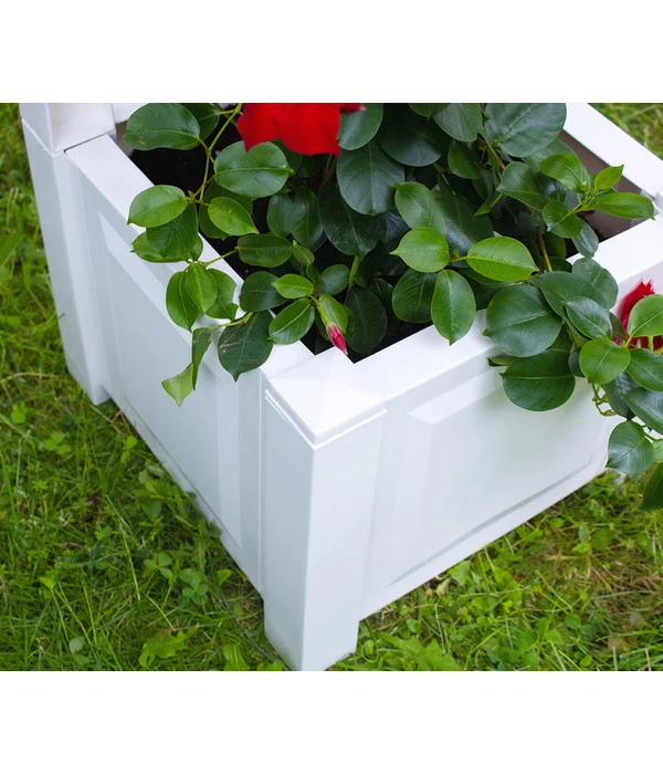 KHW Kunststoff-Pflanzkasten Mit Spalier, 43 X 43 X 140 Cm 3 KHW Kunststoff-Pflanzkasten Mit Spalier, 43 X 43 X 140 Cm – Bild 3