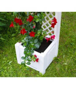 KHW Kunststoff-Pflanzkasten Mit Spalier, 43 X 43 X 140 Cm 14 KHW Kunststoff-Pflanzkasten Mit Spalier, 43 X 43 X 140 Cm -Weber Store 3913688 WE DE 004 KastenSpalier43weiss