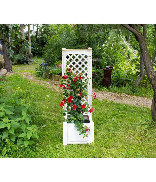 KHW Kunststoff-Pflanzkasten Mit Spalier, 43 X 43 X 140 Cm 1 KHW Kunststoff-Pflanzkasten Mit Spalier, 43 X 43 X 140 Cm