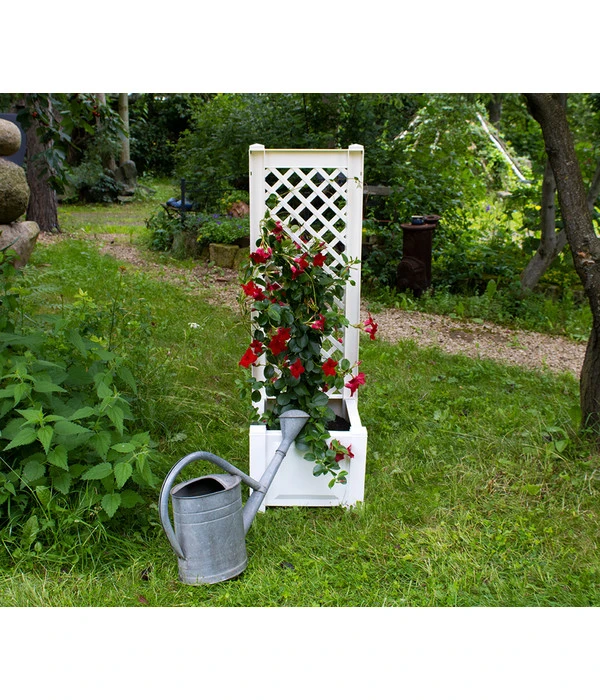 KHW Kunststoff-Pflanzkasten Mit Spalier, 43 X 43 X 140 Cm 2 KHW Kunststoff-Pflanzkasten Mit Spalier, 43 X 43 X 140 Cm – Bild 2
