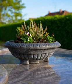 Roto Kunststoff-Pflanzschale Ballett, Rund, Bronze, Ca. Ø50/H18,5 Cm -Weber Store 4142303 WE MO 002 RotoSchaleBallett