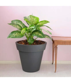 Farmet Kunststoff-Topf-Set Pegasus, Konisch, Anthrazit, 2-teilig -Weber Store 4185690 WE DE 002 PEGASUSKonischerPflanzkuebelDurchmesser50cm46cmhochDUNKELANTHRAZIT