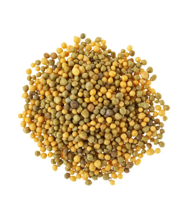 Substral® Osmocote® Langzeit Depotdünger Balkonblumen 2 Substral® Osmocote® Langzeit Depotdünger Balkonblumen – Bild 2