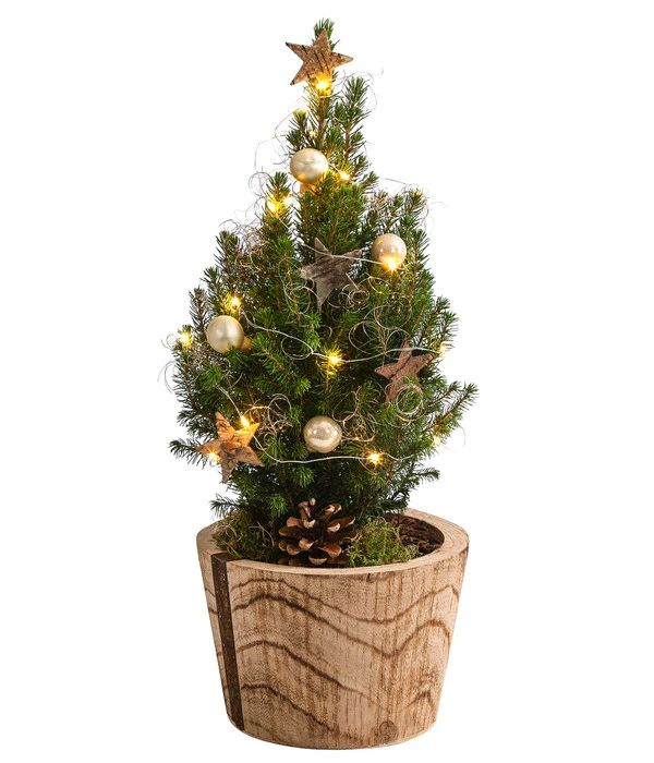 Geschmückter Weihnachtsbaum Loxley, Mit Lichterkette, Ca. H45 Cm 1 Geschmückter Weihnachtsbaum Loxley, Mit Lichterkette, Ca. H45 Cm