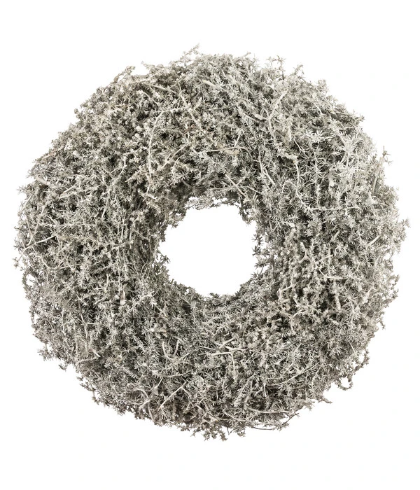 Dehner Kranz Asparagus, Ca. Ø35 Cm 1 Dehner Kranz Asparagus, Ca. Ø35 Cm