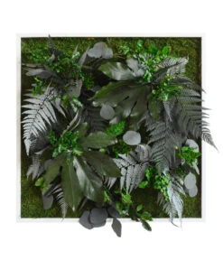 StyleGREEN Bild Aus Wald- Und Kugelmoos, Quadratisch, Ca. B55/H55/T17 Cm