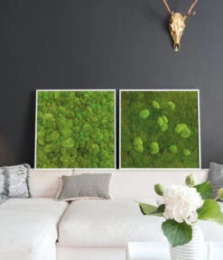 StyleGREEN Bild Aus Wald- Und Kugelmoos, Quadratisch, Ca. B80/H80/T7 Cm -Weber Store 6430649 WE MO 002 Wald Kugelmoosbild80x80cmStylegreen