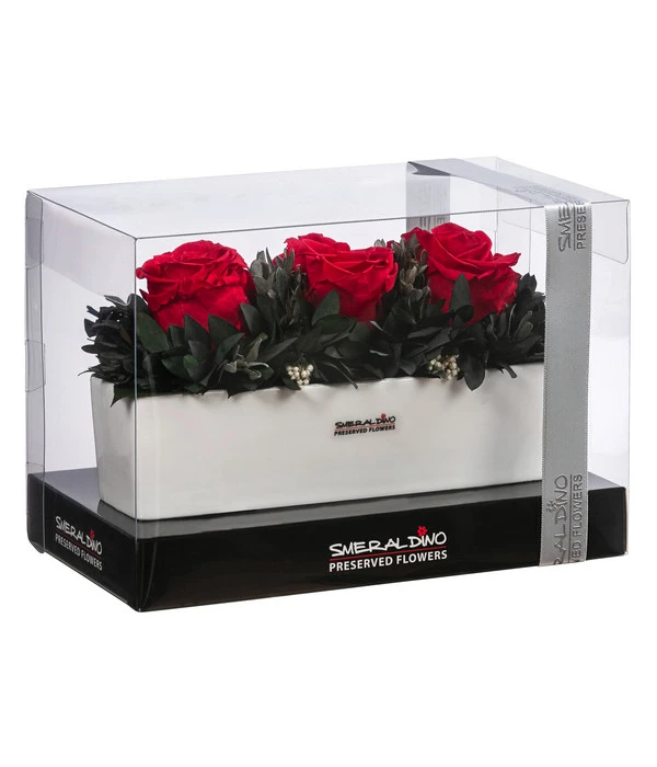 Dehner Keramik-Jardiniere Mit Longlife-Rose Elen, Rot, Ca. B23/H11/T7 Cm 2 Dehner Keramik-Jardiniere Mit Longlife-Rose Elen, Rot, Ca. B23/H11/T7 Cm – Bild 2