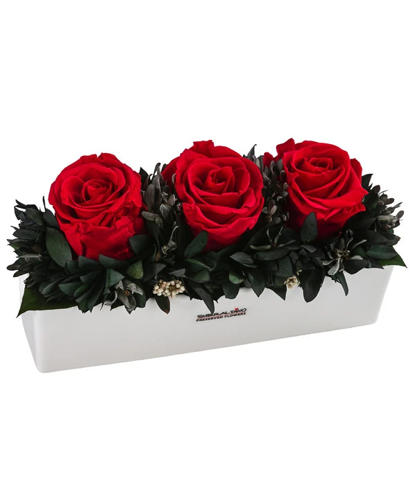 Dehner Keramik-Jardiniere Mit Longlife-Rose Elen, Rot, Ca. B23/H11/T7 Cm 1 Dehner Keramik-Jardiniere Mit Longlife-Rose Elen, Rot, Ca. B23/H11/T7 Cm