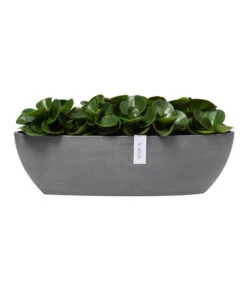 Ecopots Kunststoff-Schale Sofia Mit Wassersystem, Oval, Ca. B56/H16/T14 Cm -Weber Store 6614580 WE FS 003 EcopotsKunststoffSchaleSofialangmitWassersystemoval