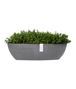 Ecopots Kunststoff-Schale Sofia Mit Wassersystem, Oval, Ca. B56/H16/T14 Cm -Weber Store 6614580 WE FS 004 EcopotsKunststoffSchaleSofialangmitWassersystemoval