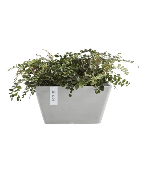 Ecopots Kunststoff-Topf Berlin, Quadratisch 2 Ecopots Kunststoff-Topf Berlin, Quadratisch – Bild 2