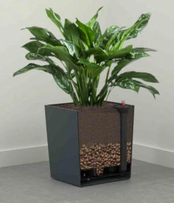 Siena Garden Kunststoff-Topf Biron, Eckig, Ca. B40/H41,5/T40 Cm 9 Siena Garden Kunststoff-Topf Biron, Eckig, Ca. B40/H41,5/T40 Cm -Weber Store 6655336 WE DE 002 PflanzgefaessBironGraphit