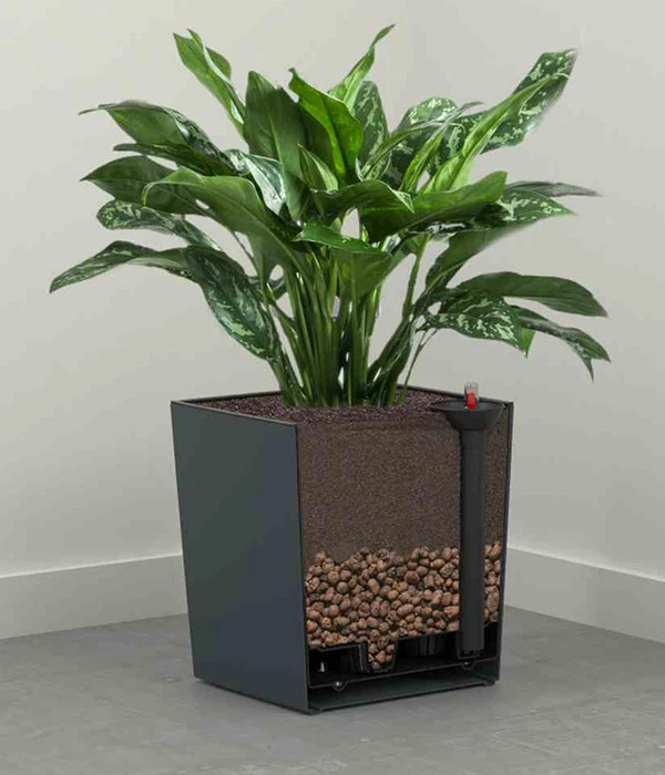 Siena Garden Kunststoff-Topf Biron, Eckig, Ca. B40/H41,5/T40 Cm 5 Siena Garden Kunststoff-Topf Biron, Eckig, Ca. B40/H41,5/T40 Cm – Bild 5