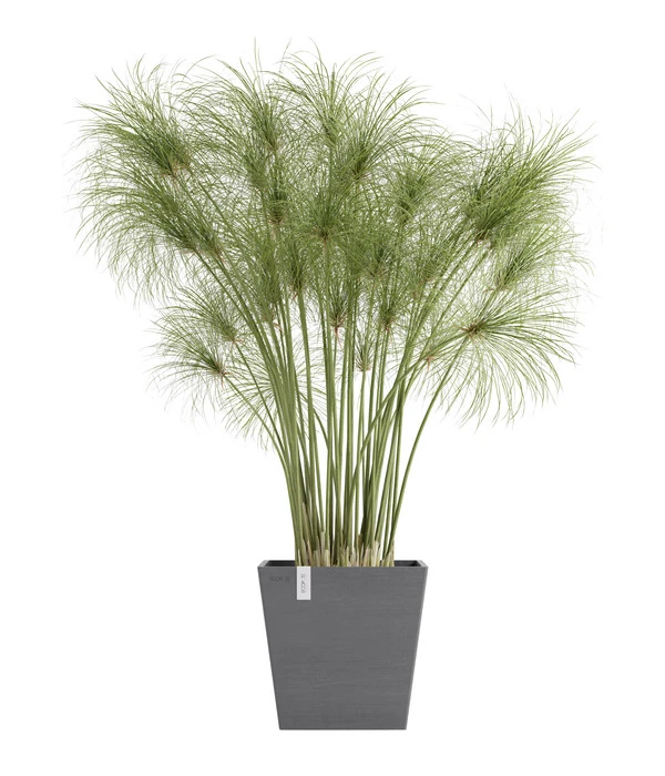 Ecopots Kunststoff-Topf Rotterdam Inkl. Wassersystem, Quadratisch 1 Ecopots Kunststoff-Topf Rotterdam Inkl. Wassersystem, Quadratisch