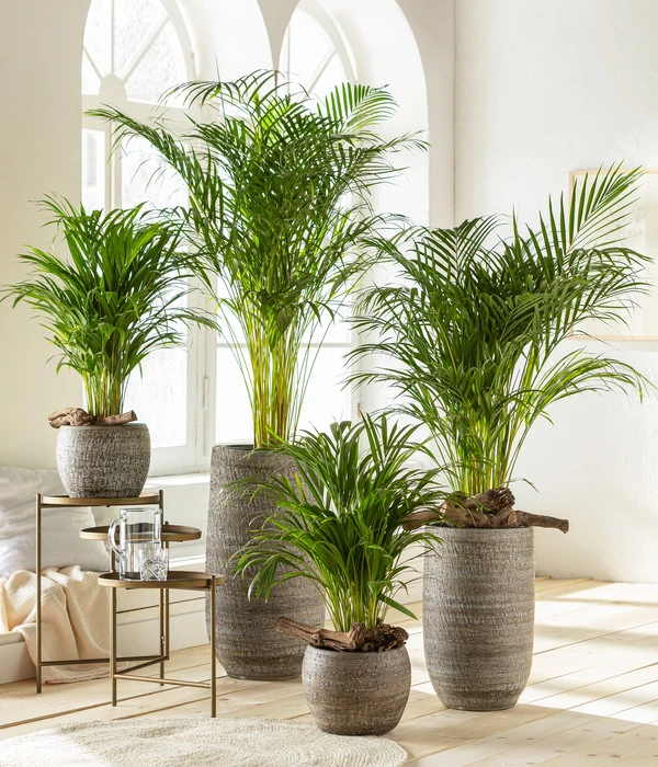 Dehner Keramik-Vase Lana, Bauchig, Braun 2 Dehner Keramik-Vase Lana, Bauchig, Braun – Bild 2