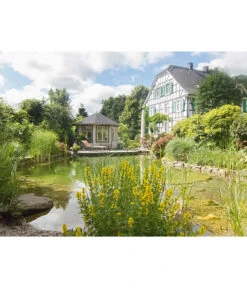 Wolff Finnhaus Pavillon Milano 3.5, Ca. B430,1/H346/T430,1 Cm -Weber Store 6931927 WE MO 003 FinnhausGartenhaus