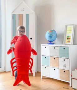 Westmann Pool-Buddy Lobster -Weber Store 6935563 WE MO 004 WestmannPoolbuddyLobster