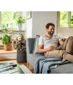 LECHUZA® TRENDCOVER Felt, All-in-One Set -Weber Store 6946891 6946933 6947097 6947139 WE MO 001 Trendcover