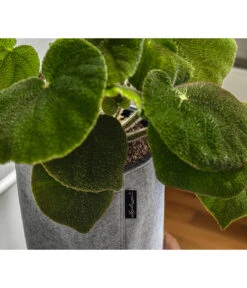 LECHUZA® TRENDCOVER Felt, All-in-One Set -Weber Store 6946941 6947121 WE MO 002 TrendcoverFelthellgrau