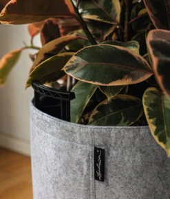 LECHUZA® TRENDCOVER Felt, All-in-One Set -Weber Store 6947121 6946933 WE MO 001 TrendcoverFeltDunkelgrau