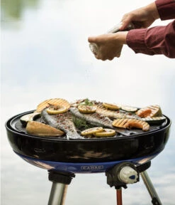 CADAC Gasgrill Carri Chef 50 -Weber Store 6961585 WE MO 005 CadacGasgrillCarriChef50BBQDome