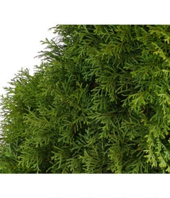 16 Meter Lebensbaum 'Smaragd', 40 X Ca. 125-150 Cm -Weber Store 7513534 WE DE 001 ThujaLebensbaumOccidentalisSmaragd20LDehnerExpressHerzig