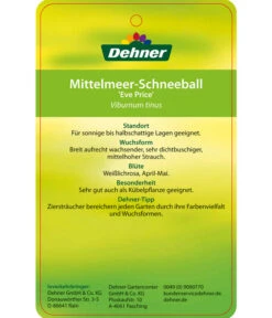 Mittelmeer-Schneeball, Stämmchen -Weber Store 7539406 Mittelmeer SchneeballEvePrice Etikett 2