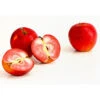 Rotfleischiger Apfel 'Baya Marisa'