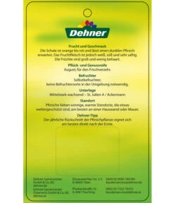Dehner Pfirsich 'Benedicte' -Weber Store 7611155 WeissfleischigerPfirsichBenedicte Etikett 2
