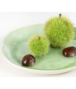 Esskastanie 'Bouche De Betizac' -Weber Store 7621998 PR DE 002 CastaneaSativaBetizacEsskastanieDehnerExpressHerzig