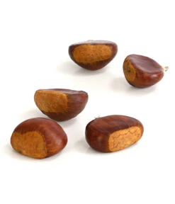 Esskastanie 'Bouche De Betizac' -Weber Store 7621998 WE DE 003 EsskastanieMaroneCastaneaSativaDehnerExpressHerzig