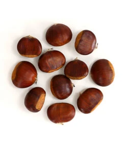 Esskastanie 'Bouche De Betizac' -Weber Store 7621998 WE FS 003 EsskastanieMaroneCastaneaSativaDehnerExpressHerzig