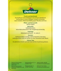 Aprikose 'Compacta' -Weber Store 7626021 AprikoseCompacta Etikett 2