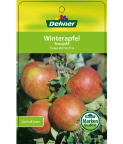 Winterapfel 'Jonagold' -Weber Store 7691645 WinterapfelJonagold Etikett 1