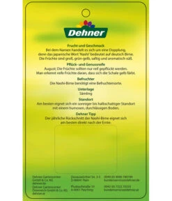 Nashi-Birne 'Nijiseiki' -Weber Store 7719826 Nashi BirneNijiseiki Etikett 2