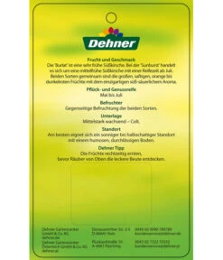 Kirschen-Duo 'Sunburst/Burlat' 9 Kirschen-Duo 'Sunburst/Burlat' -Weber Store 7760713 Suesskirschen DuoSunburstBurlat Etikett 2